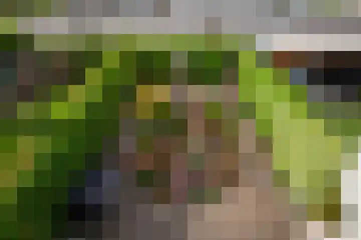 Wederik 28 Reeuwijk thumbnail 49
