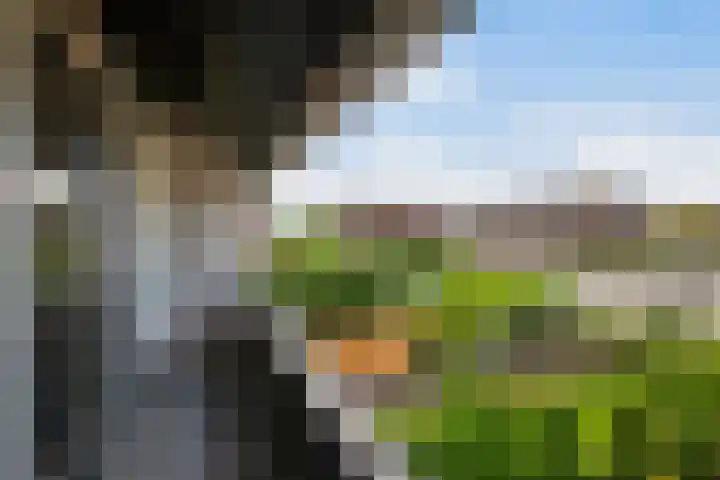 Wederik 28 Reeuwijk thumbnail 50