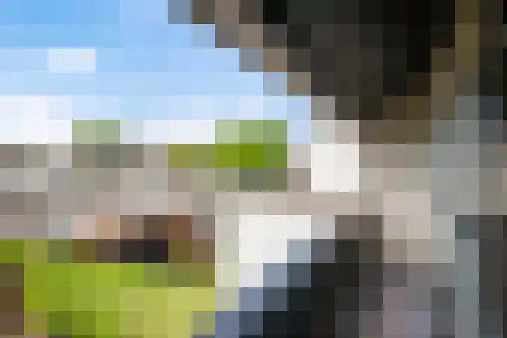 Wederik 28 Reeuwijk thumbnail 51
