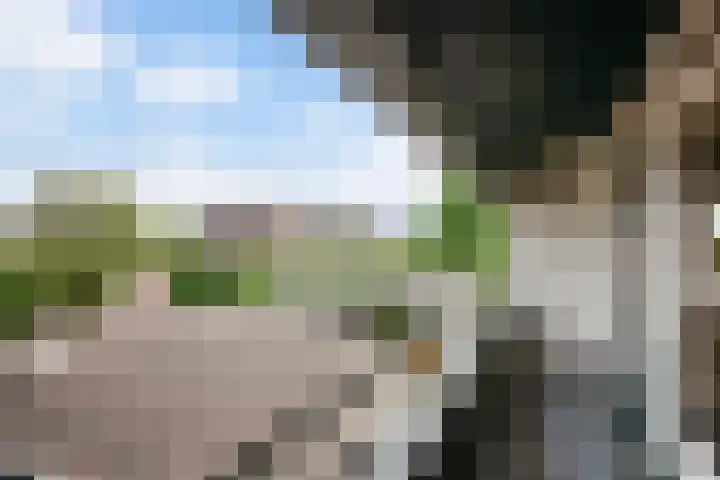 Wederik 28 Reeuwijk thumbnail 53