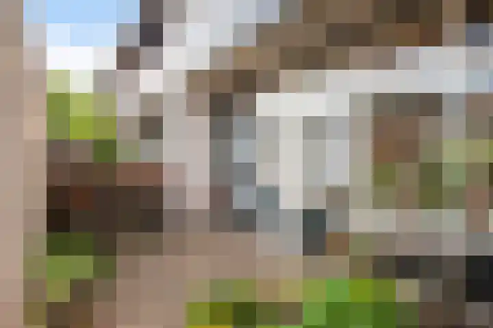 Wederik 28 Reeuwijk thumbnail 8