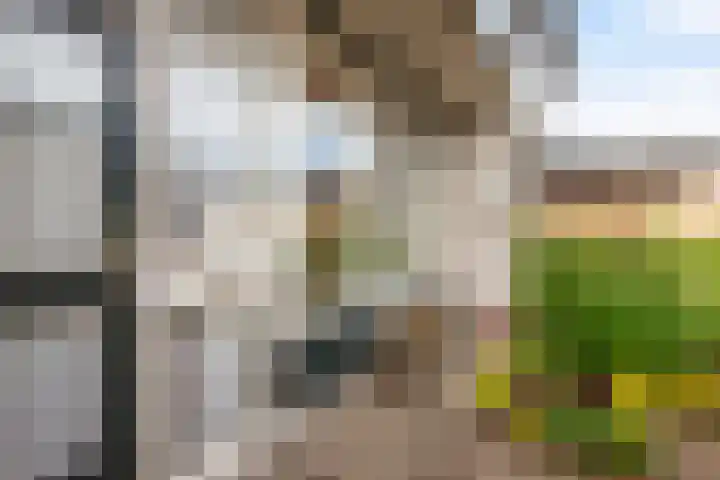 Wederik 28 Reeuwijk thumbnail 9