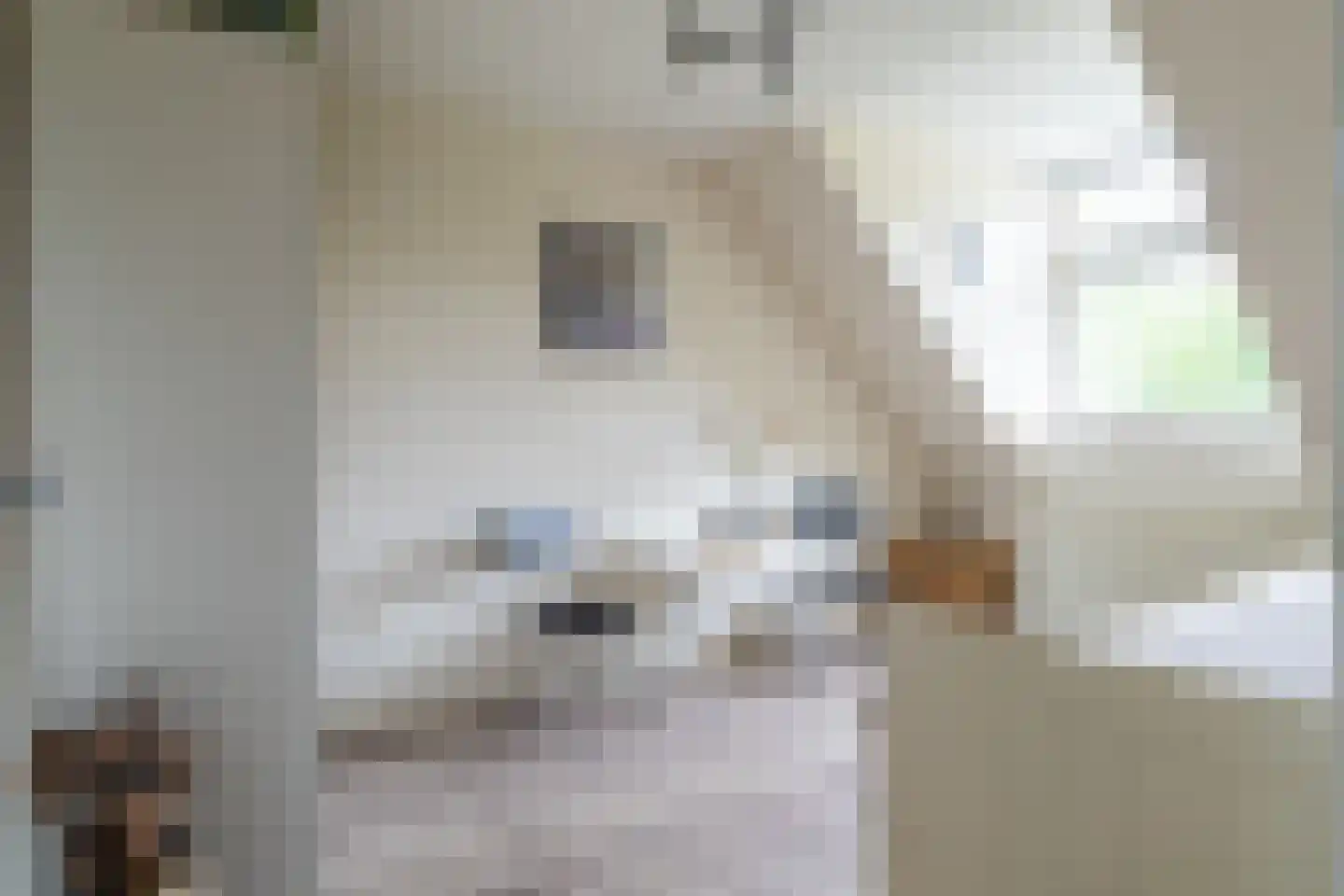Wederik 3 Werkendam thumbnail 17