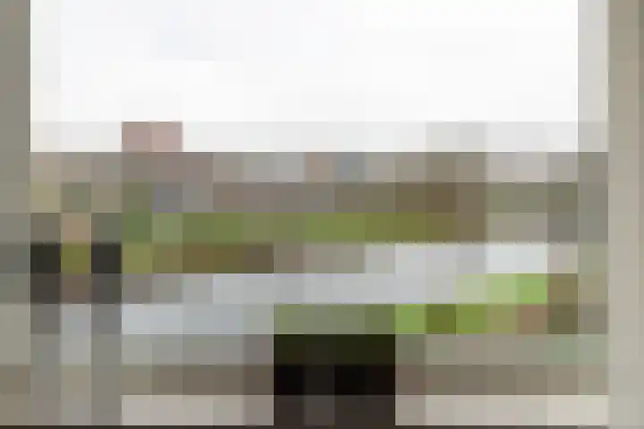 Wederik 47 Heerenveen thumbnail 12