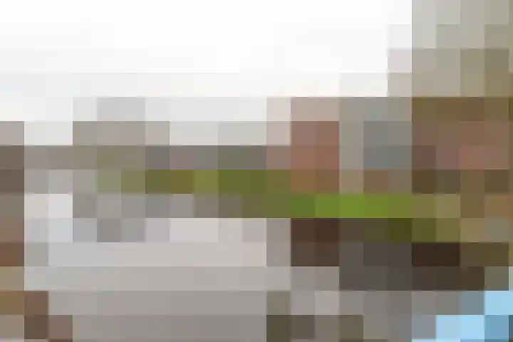 Wederik 47 Heerenveen thumbnail 17