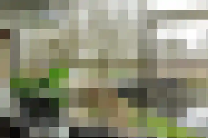 Wederik 47 Heerenveen thumbnail 4