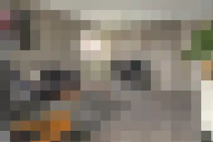 Wederik 47 Heerenveen thumbnail 6