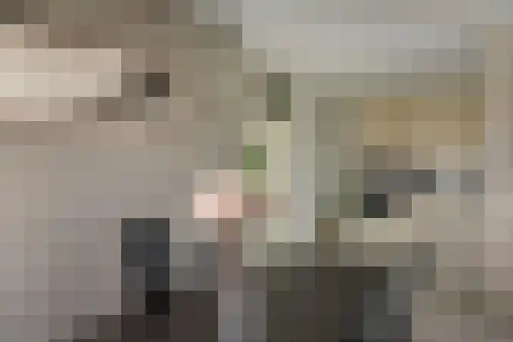 Wederik 47 Heerenveen thumbnail 8