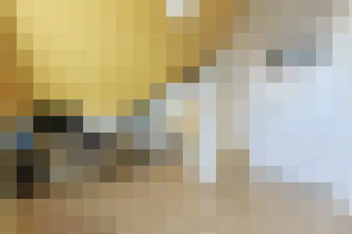 Wederik 5 Zevenhoven thumbnail 34