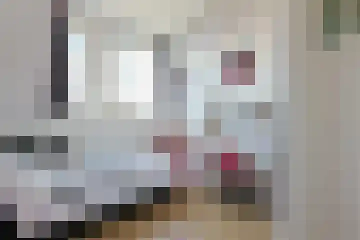 Wederik 5 Zevenhoven thumbnail 37