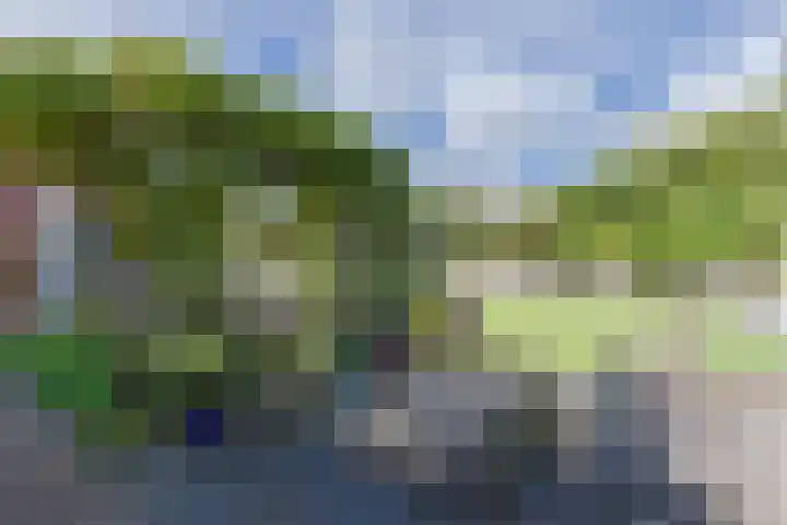 Wederik 5 Zevenhoven thumbnail 43