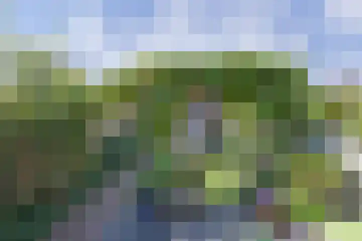 Wederik 5 Zevenhoven thumbnail 44
