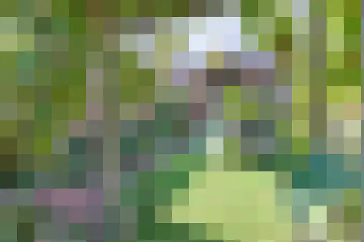Wederik 5 Zevenhoven thumbnail 45