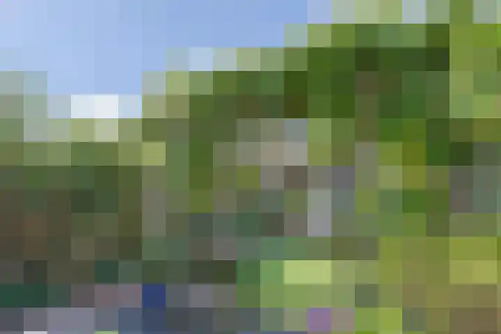 Wederik 5 Zevenhoven thumbnail 46