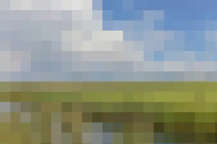 Wederik 5 Zevenhoven thumbnail 50