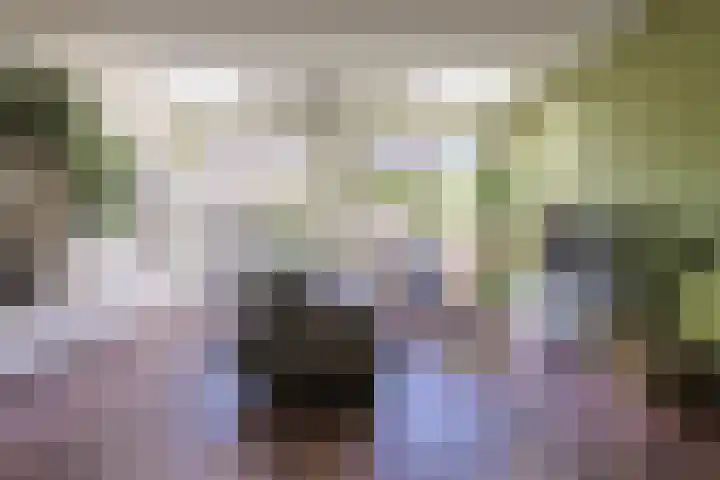 Wederik 5 Zevenhoven thumbnail 6