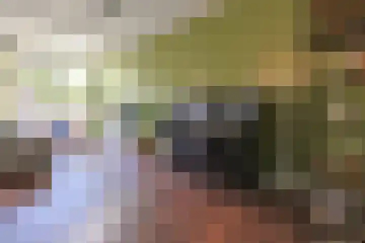 Wederik 5 Zevenhoven thumbnail 7