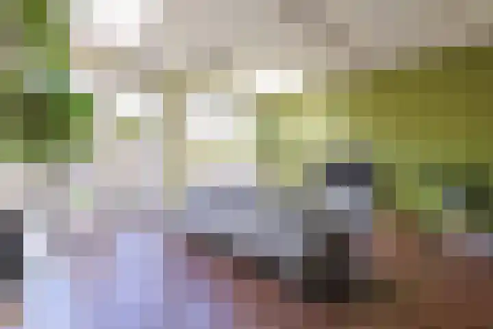Wederik 5 Zevenhoven thumbnail 8