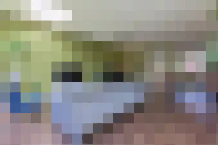 Wederik 5 Zevenhoven thumbnail 9