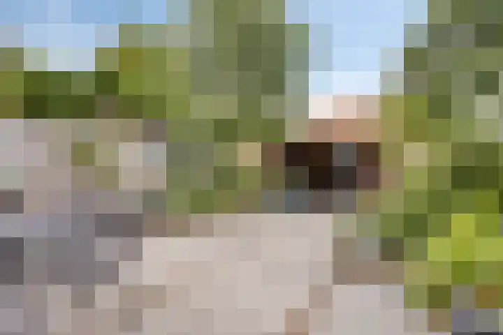 Wederik 54 IJsselstein thumbnail 4