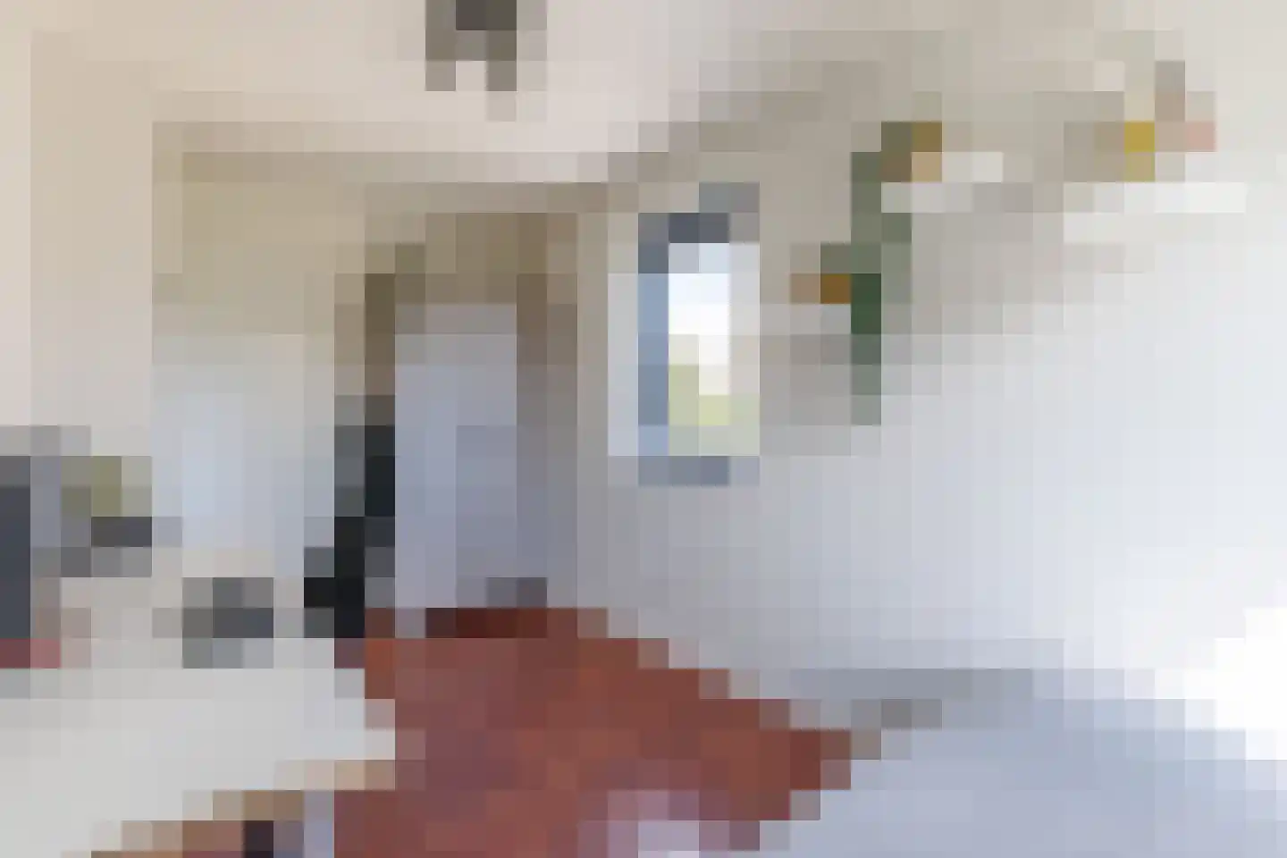 Wederik 6 Haaksbergen thumbnail 30