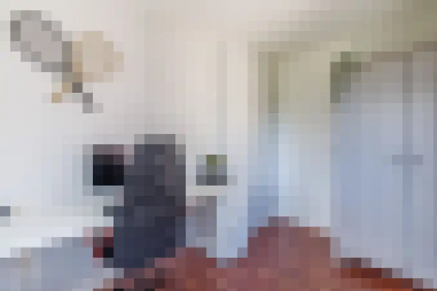 Wederik 6 Haaksbergen thumbnail 31