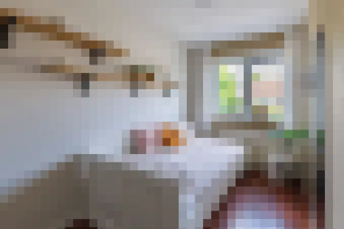 Wederik 6 Haaksbergen thumbnail 32