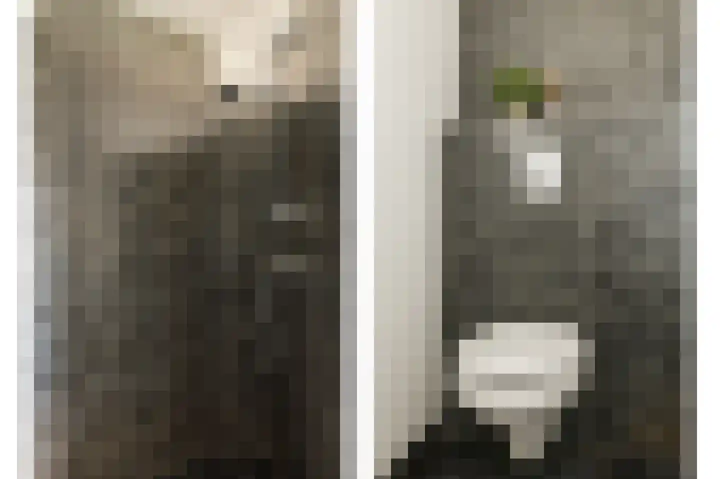 Wederik 6 Haaksbergen thumbnail 37