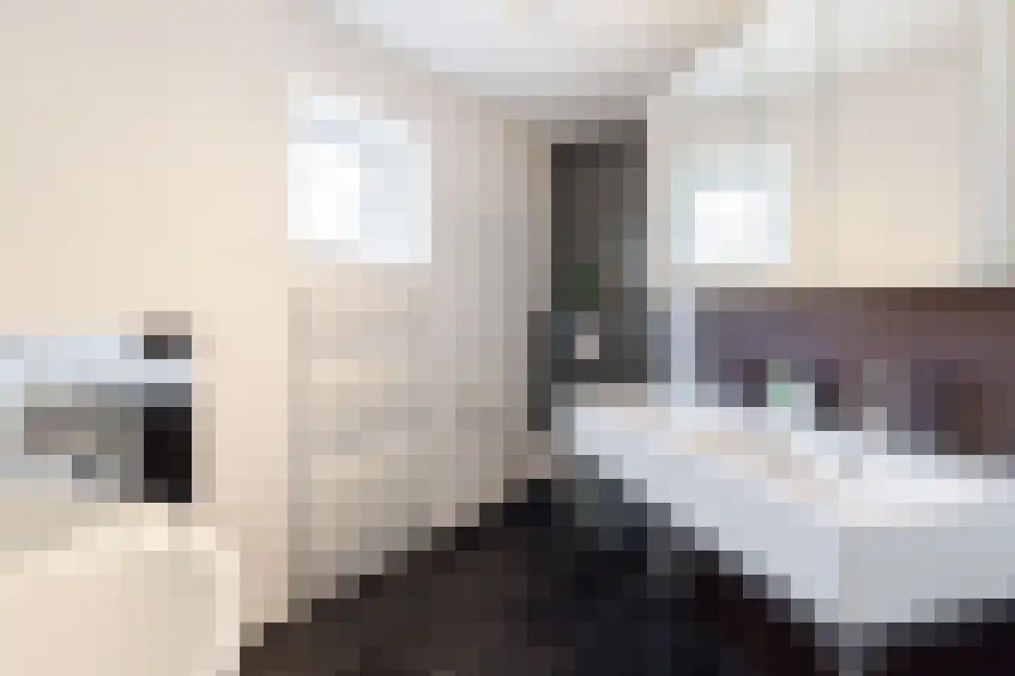 Wederik 6 Haaksbergen thumbnail 38
