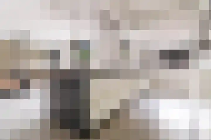 Wederik 6 Zeewolde thumbnail 22
