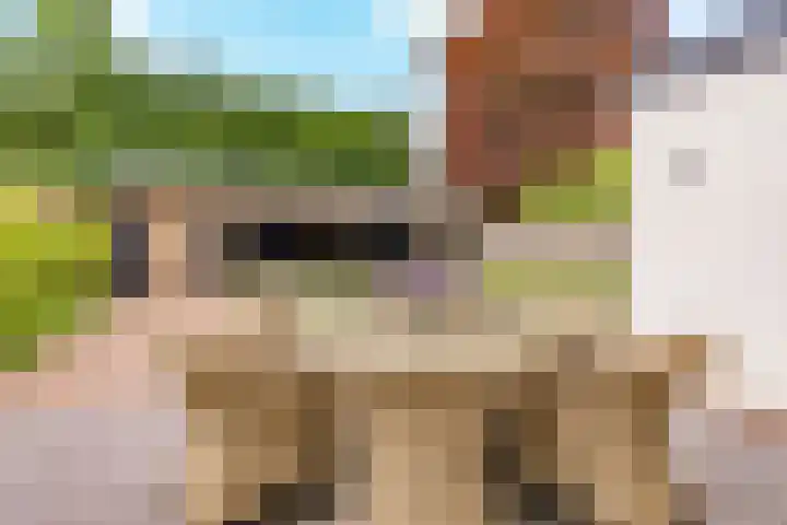 Wederik 6 Zeewolde thumbnail 32