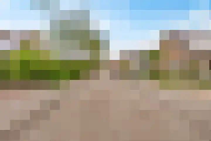 Wederik 6 Zeewolde thumbnail 45