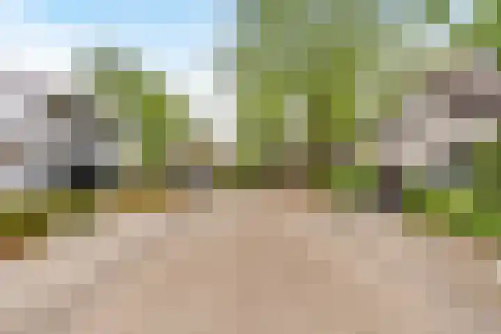 Wederik 6 Zeewolde thumbnail 46