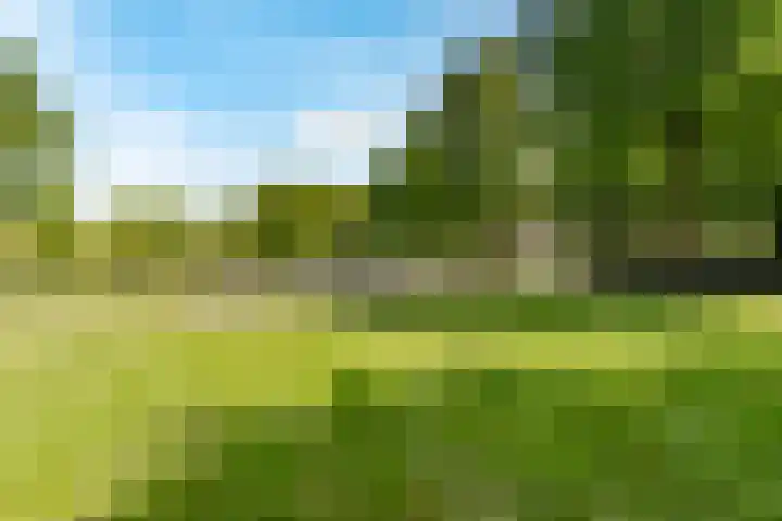 Wederik 6 Zeewolde thumbnail 47