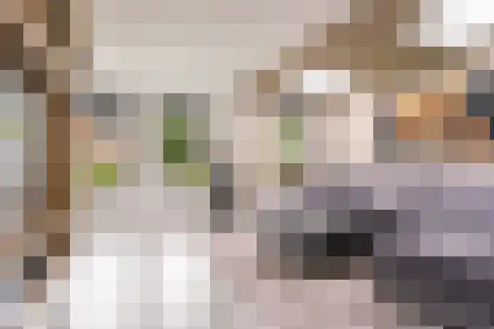 Wederik 6 Zeewolde thumbnail 9