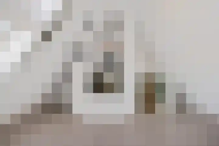 Wederik 70 Heerenveen thumbnail 31