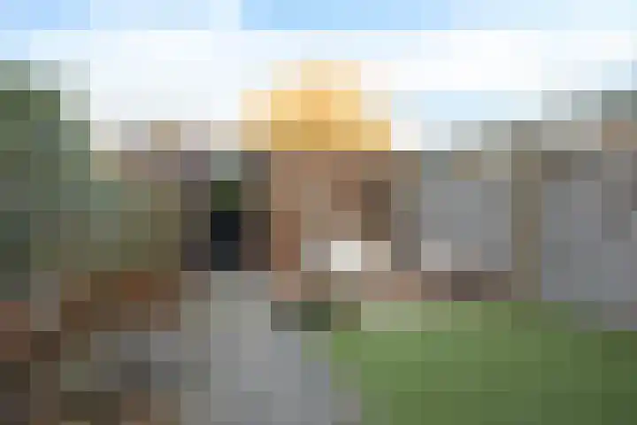 Wederik 70 Heerenveen thumbnail 34