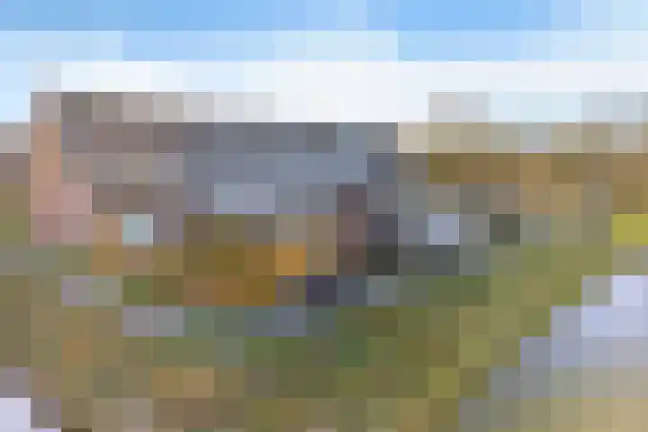 Wederik 70 Heerenveen thumbnail 41