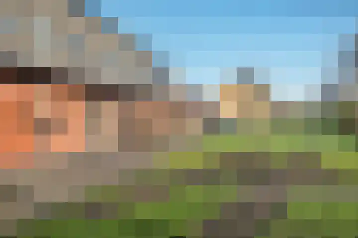 Wederik 70 Heerenveen thumbnail 8