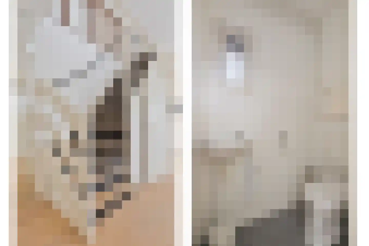 Wederik 83 Heerenveen thumbnail 4