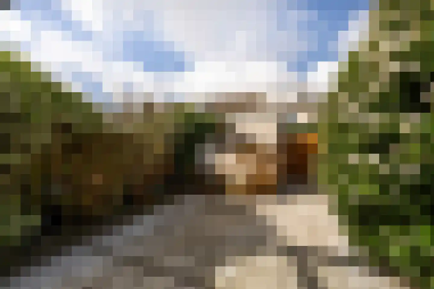 Wederik 86 Uithoorn thumbnail 31