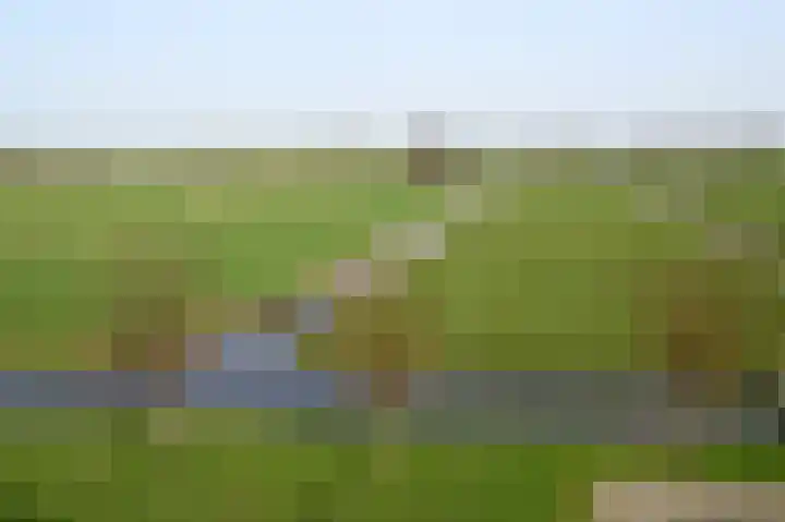 Wederik 9 Kockengen thumbnail 33