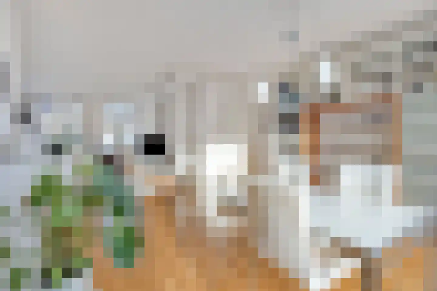 Wederikdreef 2 A Nuenen thumbnail 14