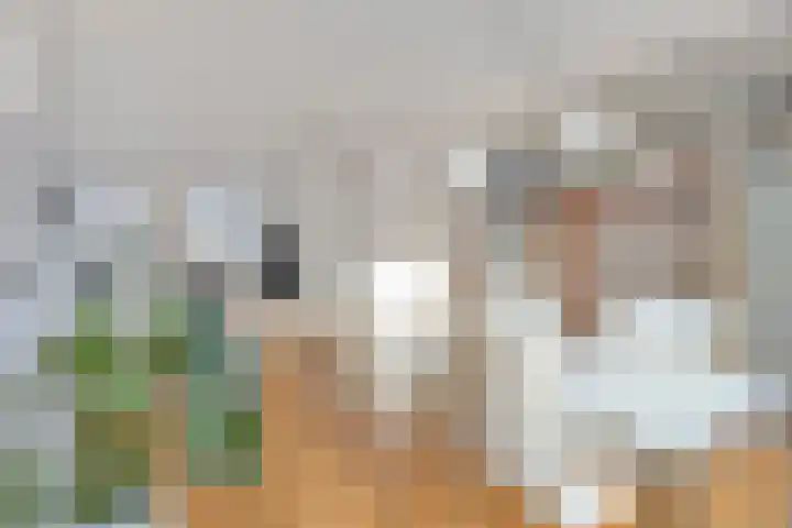 Wederikdreef 2 A Nuenen thumbnail 14