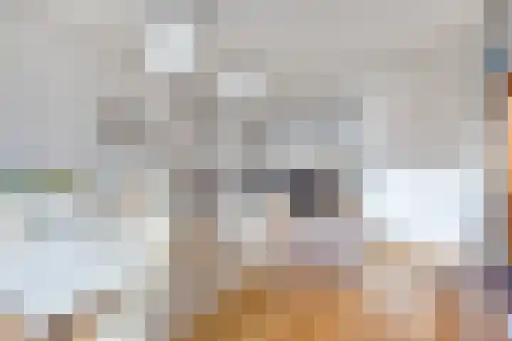 Wederikdreef 2 A Nuenen thumbnail 15