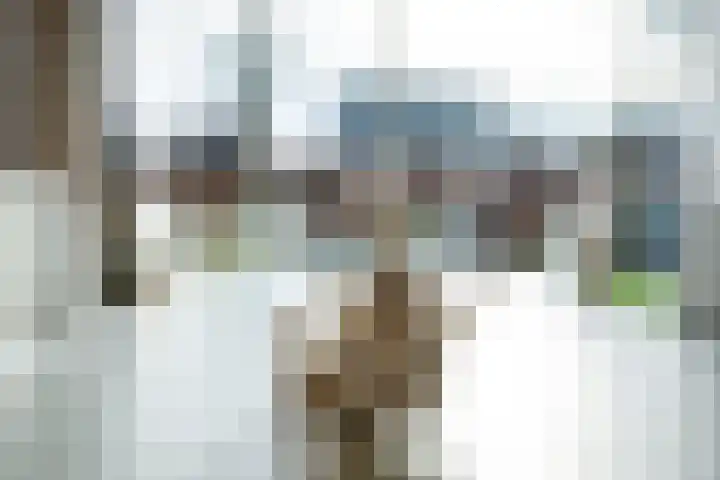 Wederikdreef 2 A Nuenen thumbnail 16