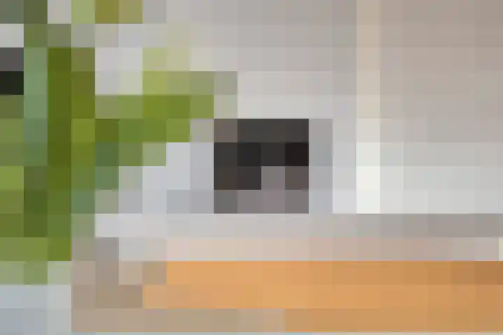 Wederikdreef 2 A Nuenen thumbnail 17