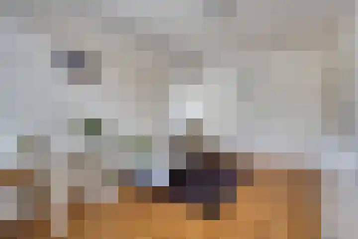 Wederikdreef 2 A Nuenen thumbnail 22