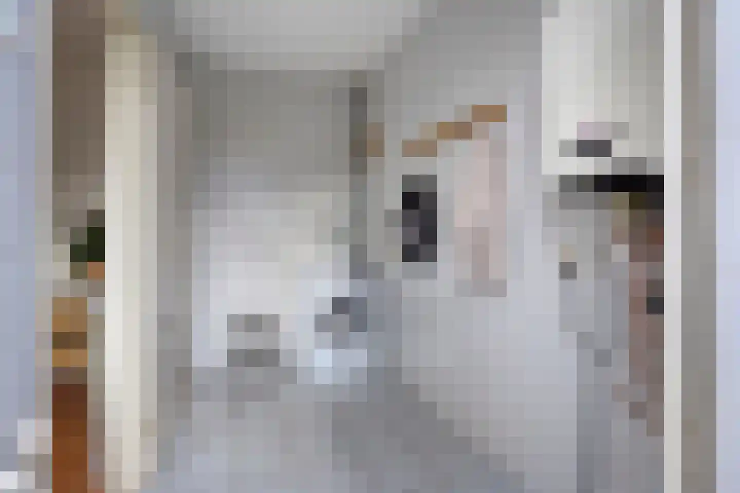 Wederikdreef 2 A Nuenen thumbnail 23
