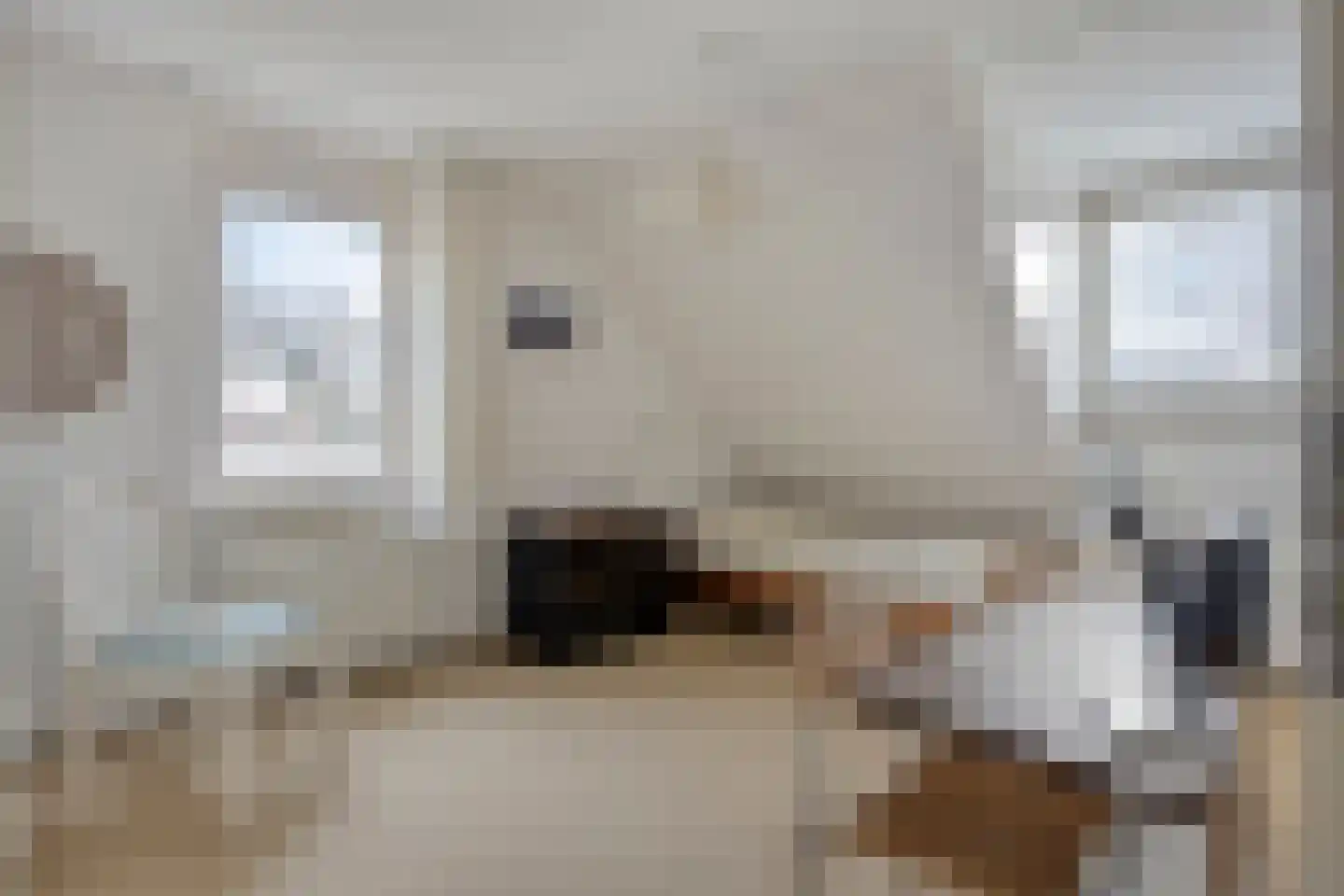 Wederikdreef 2 A Nuenen thumbnail 25